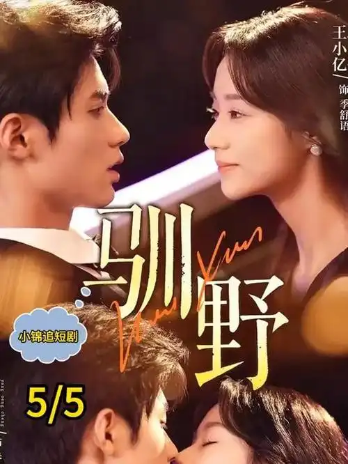 双城谜案罪案剧免费在线观看